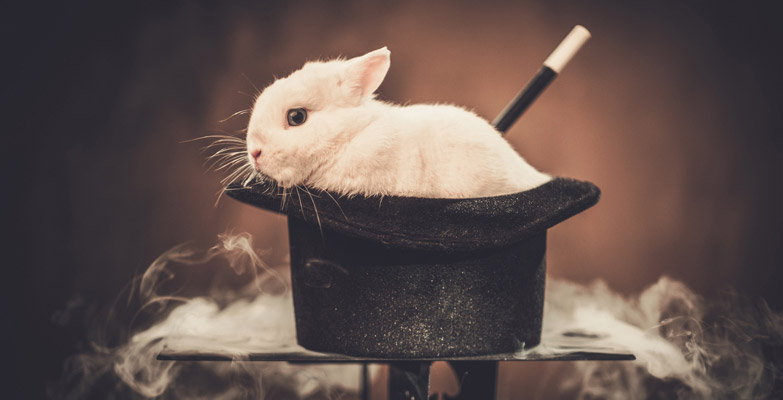 NC10 crossterrein: het spel van de hoge hoeden en de konijnen - NC10